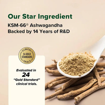 Ashwagandha Coffee with Turmeric, Lion’s Mane & Chaga – 40 Servings